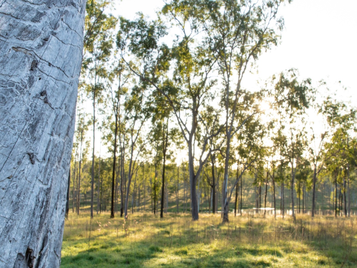 [Land for Sale] Park Lake Estate, Adare OpenLot